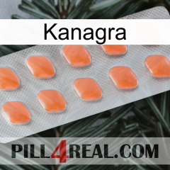 Kanagra 26